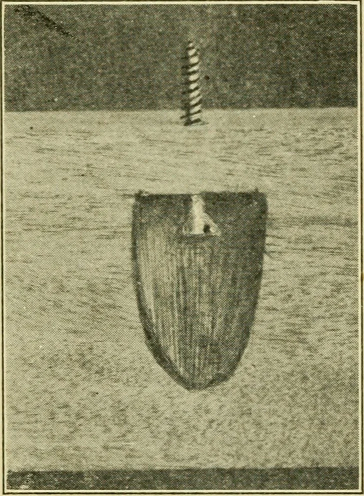 An illustration from Elementary cabinetwork for manual training classes, 1909, leaf 105