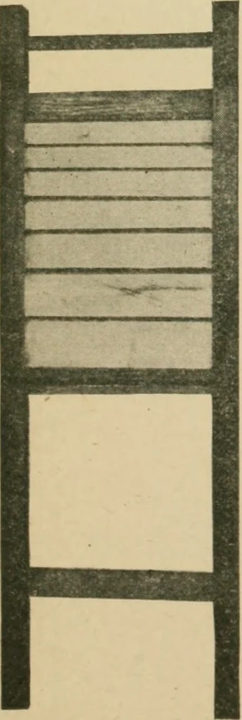 An illustration from Elementary cabinetwork for manual training classes, 1909, leaf 214