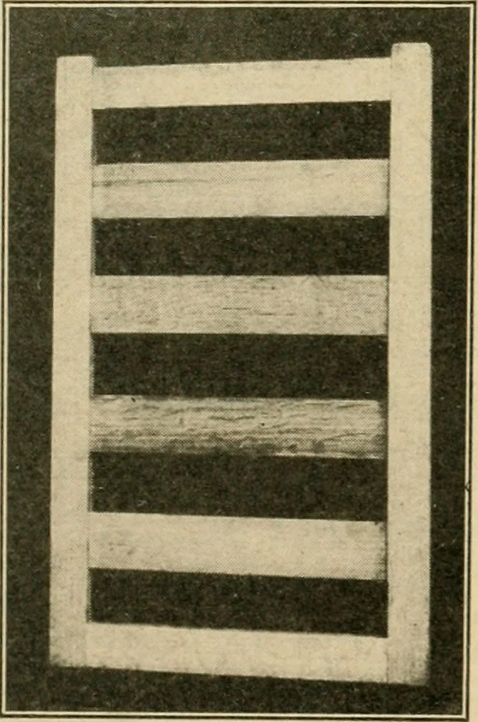 An illustration from Elementary cabinetwork for manual training classes, 1909, leaf 22