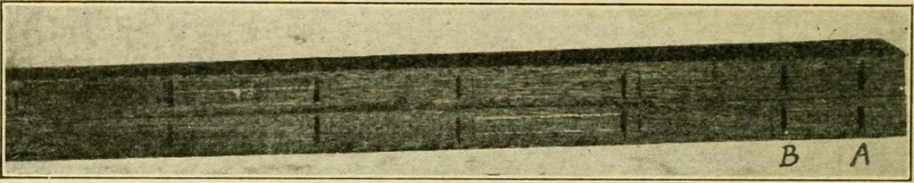 An illustration from Elementary cabinetwork for manual training classes, 1909, leaf 25