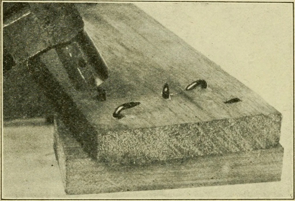 An illustration from Elementary cabinetwork for manual training classes, 1909, leaf 257