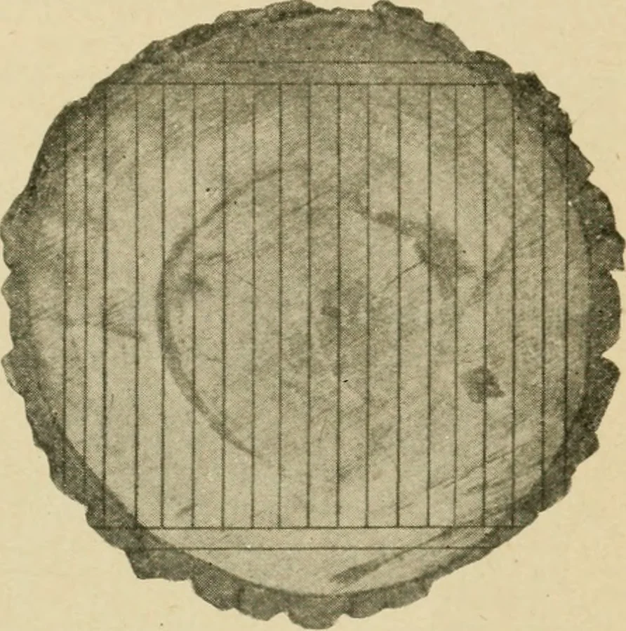 An illustration from Elementary cabinetwork for manual training classes, 1909, leaf 66