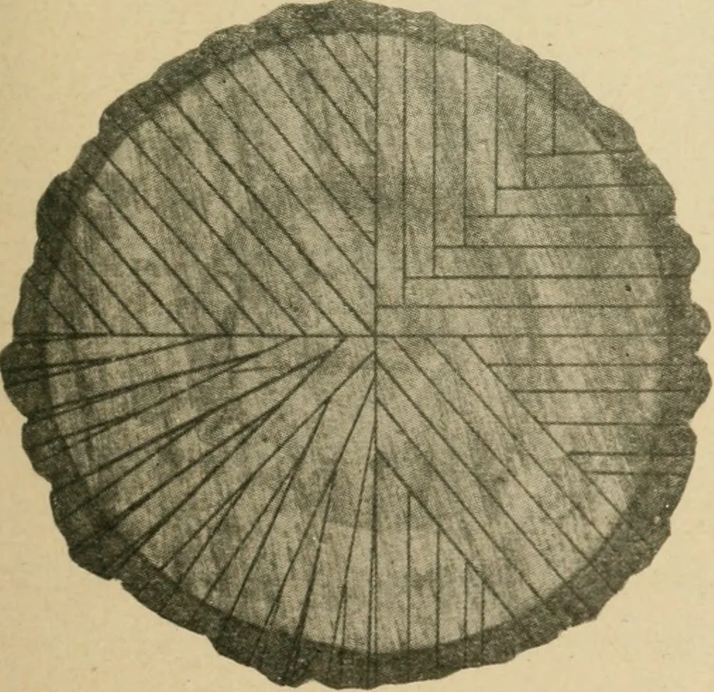 An illustration from Elementary cabinetwork for manual training classes, 1909, leaf 66