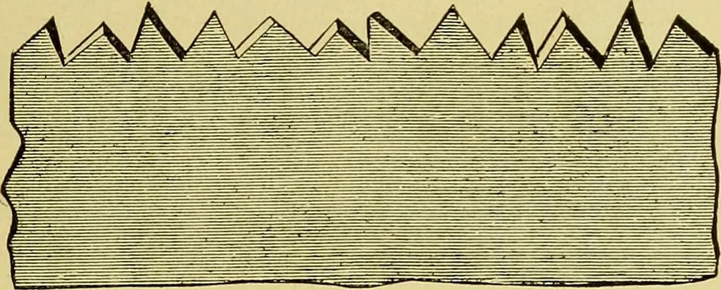 An illustration from Elementary course in woodwork ; designed for use in high and technical schools, with one hundred and thirty-four illustrations, by George Alexander Ross, 1901, leaf 21