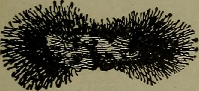 An illustration from Elementary electricity up-to-date;, 1909, leaf 146