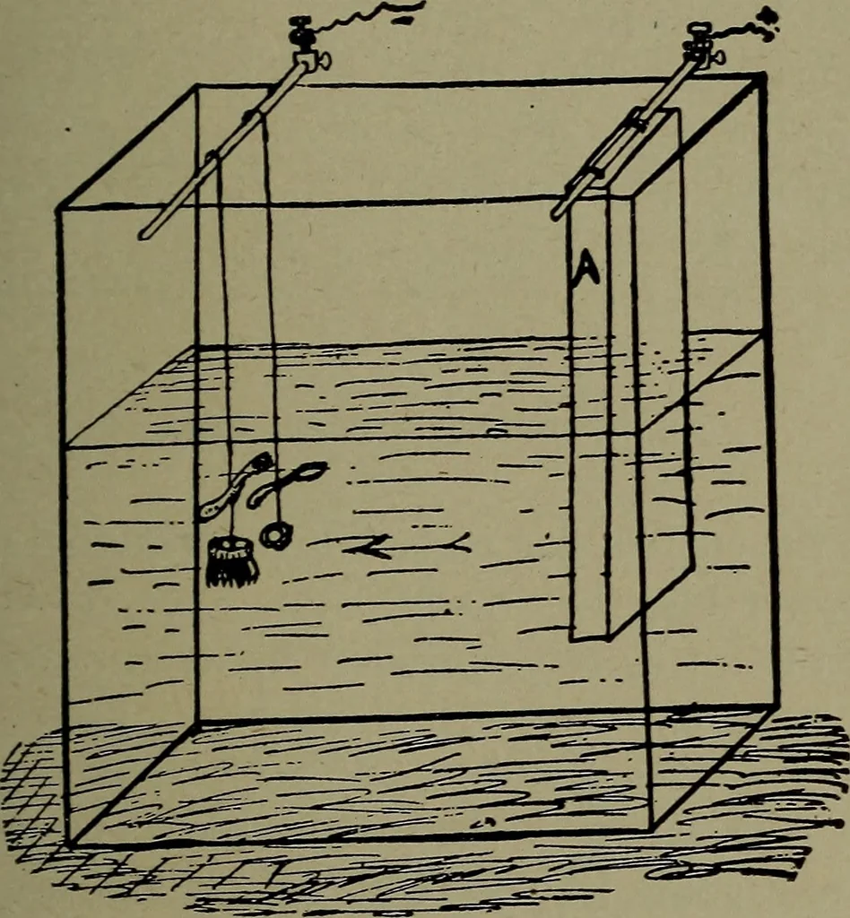 An illustration from Elementary electricity up-to-date;, 1909, leaf 278