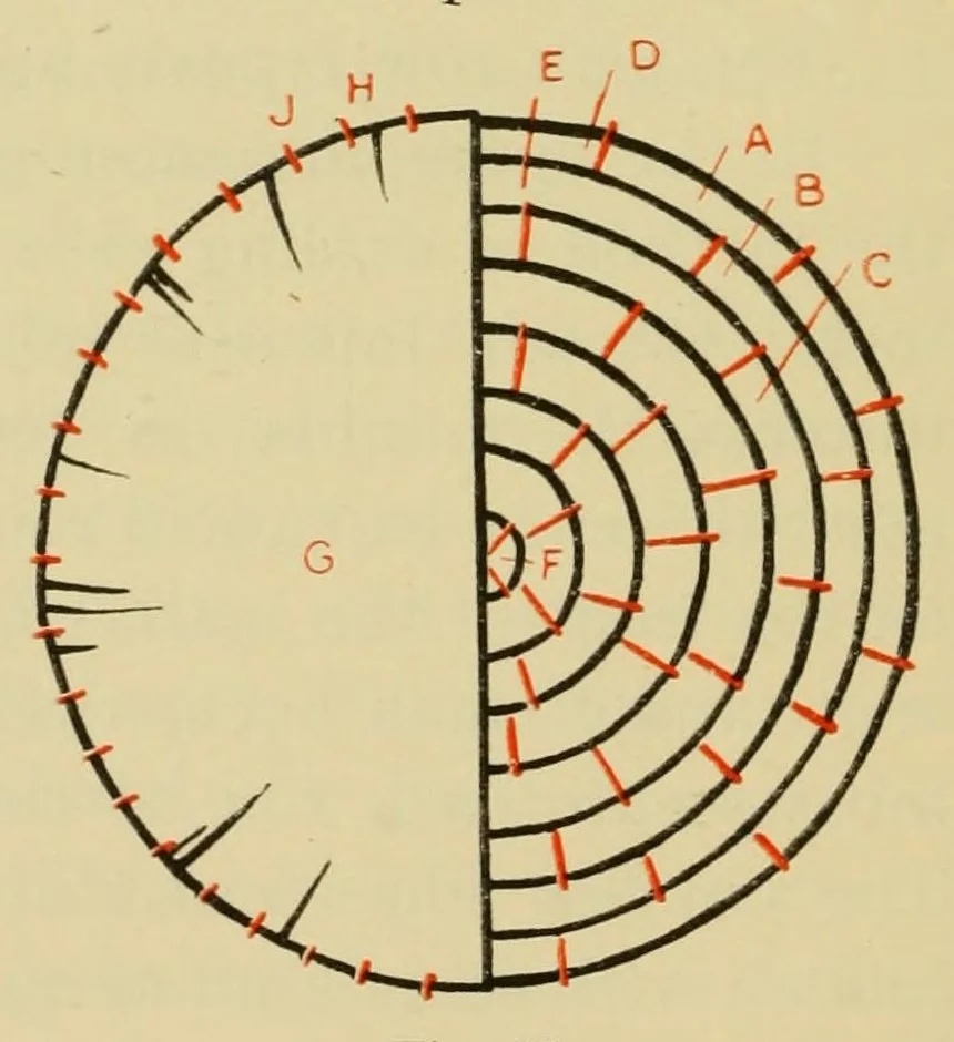 An illustration from Elementary embroidery, 1915, leaf 118