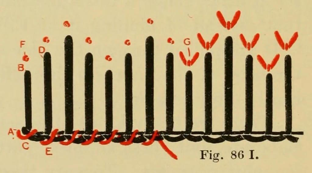An illustration from Elementary embroidery, 1915, leaf 170