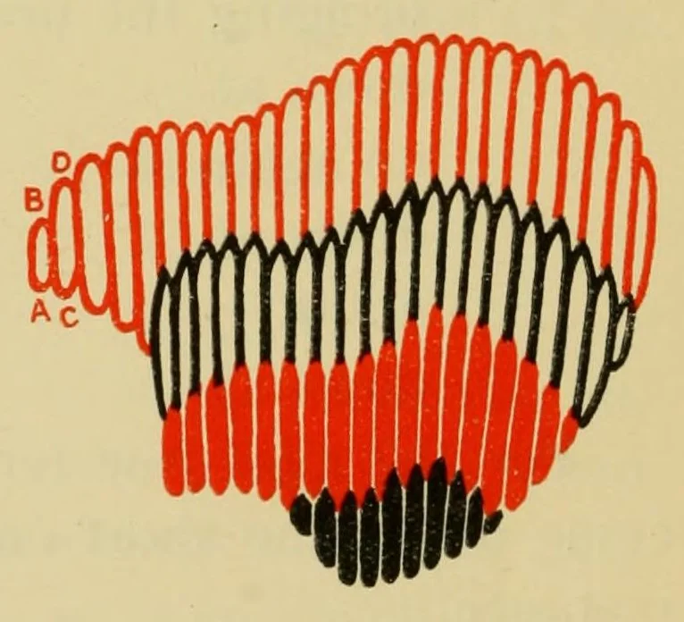 An illustration from Elementary embroidery, 1915, leaf 52