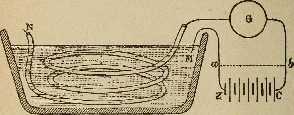 An illustration from Elementary lessons in electricity and magnetism, 1906, leaf 248