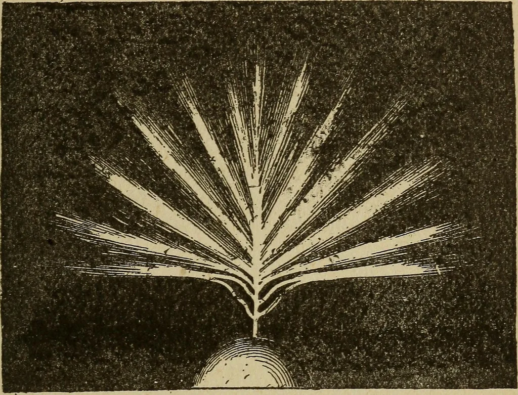 An illustration from Elementary lessons in electricity and magnetism, 1906, leaf 261