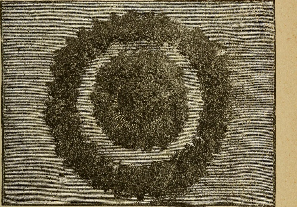 An illustration from Elementary lessons in electricity and magnetism, 1906, leaf 269