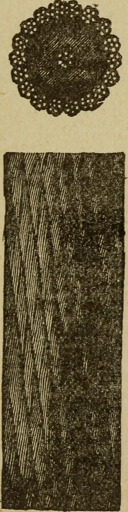 An illustration from Elementary lessons in electricity and magnetism, 1906, leaf 435