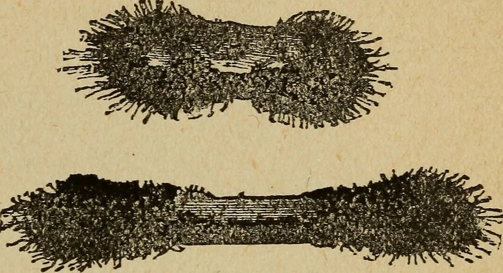 An illustration from Elementary lessons in electricity and magnetism, 1906, leaf 91
