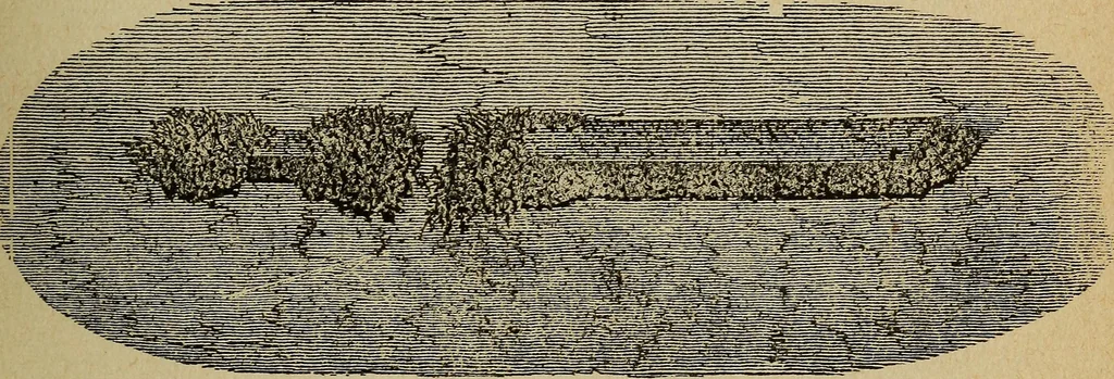 An illustration from Elementary lessons in electricity and magnetism, 1906, leaf 97
