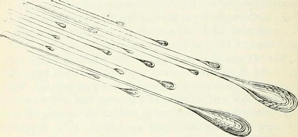 An illustration from Elementary lessons in astronomy, 1889, leaf 173