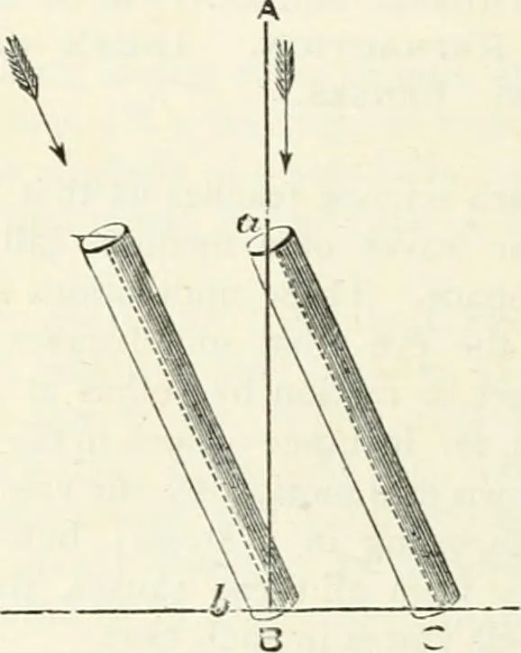 An illustration from Elementary lessons in astronomy, 1889, leaf 243