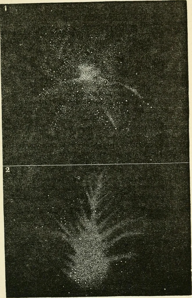 An illustration from Elementary lessons in astronomy, 1889, leaf 48