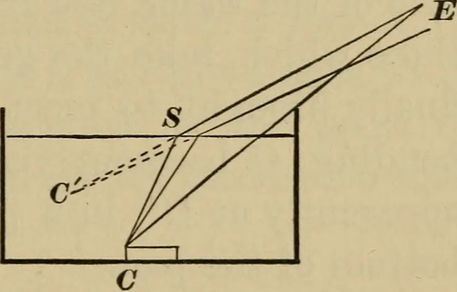 An illustration from Elementary lessons in physics;, 1900, leaf 136