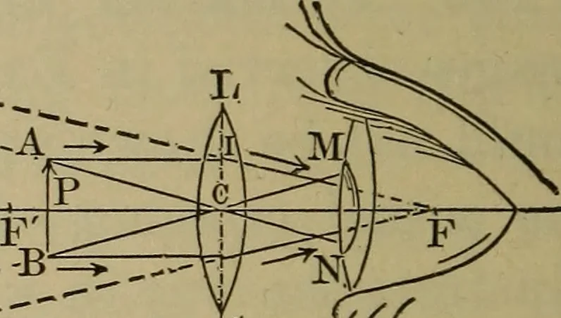 An illustration from Elementary lessons in physics;, 1900, leaf 161