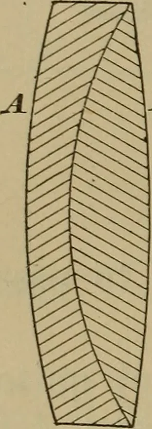 An illustration from Elementary lessons in physics;, 1900, leaf 163