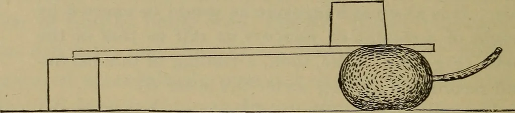 An illustration from Elementary lessons in physics;, 1900, leaf 49