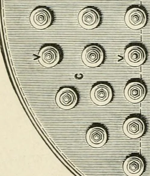 An illustration from Elementary lessons in steam machinery and the marine steam engine, with a short description of the construction of a battleship, 1893, leaf 164