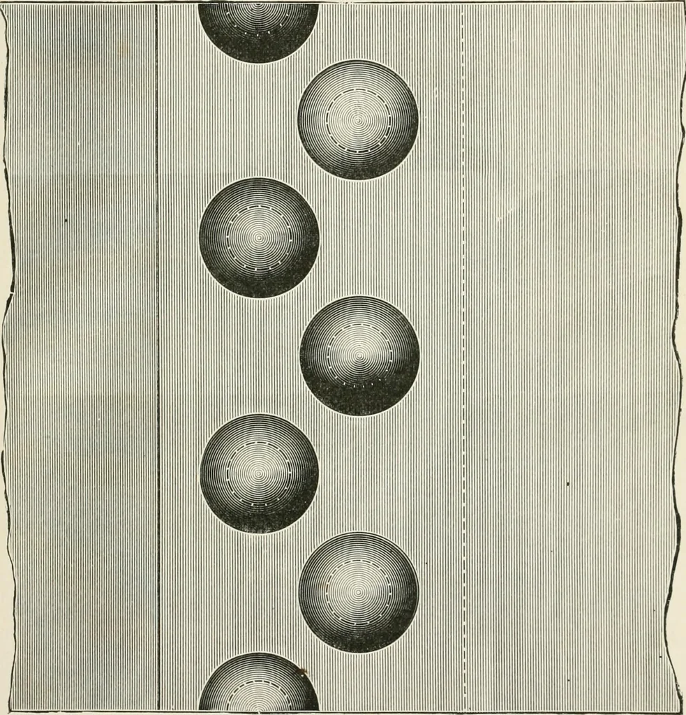 An illustration from Elementary lessons in steam machinery and the marine steam engine, with a short description of the construction of a battleship, 1893, leaf 51