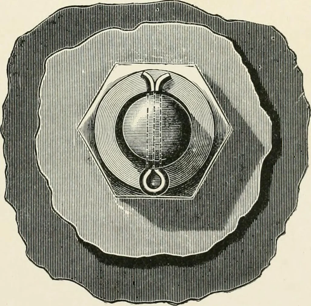 An illustration from Elementary lessons in steam machinery and the marine steam engine, with a short description of the construction of a battleship, 1893, leaf 71