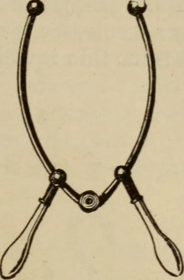 An illustration from Elementary lessons in electricity & magnetism, 1895, leaf 81
