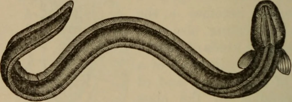 An illustration from Elementary lessons in electricity & magnetism, 1895, leaf 90