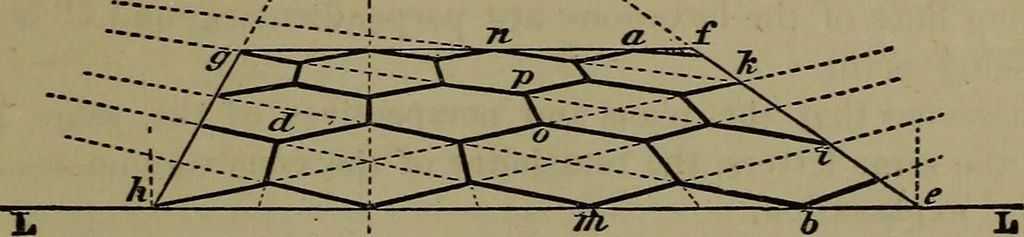An illustration from Elementary linear perspective of form and shadow ... Complete in itself ... For draftsmen, artists, and industrial drawing courses in preparatory and high schools, etc. In two parts.., 1891, leaf 107