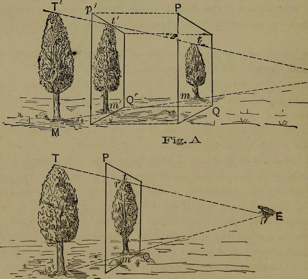 An illustration from Elementary linear perspective of form and shadow ... Complete in itself ... For draftsmen, artists, and industrial drawing courses in preparatory and high schools, etc. In two parts.., 1891, leaf 24
