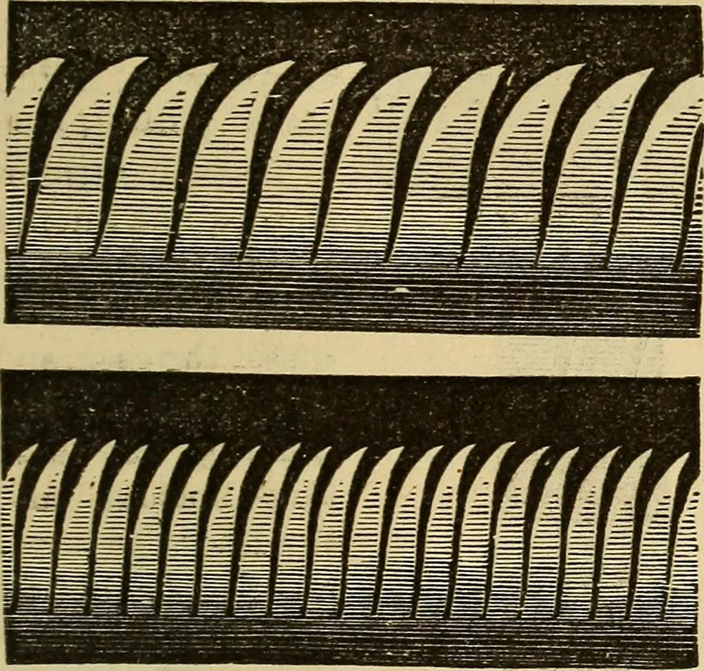 An illustration from Elementary natural philosophy : designed for high schools and academies, 1881, leaf 141