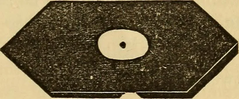 An illustration from Elementary natural philosophy : designed for high schools and academies, 1881, leaf 171