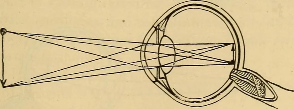 An illustration from Elementary natural philosophy : designed for high schools and academies, 1881, leaf 225