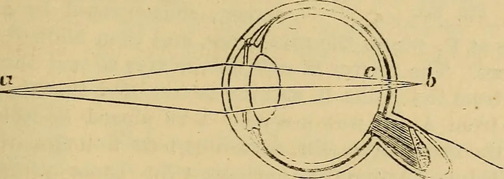 An illustration from Elementary natural philosophy : designed for high schools and academies, 1881, leaf 227