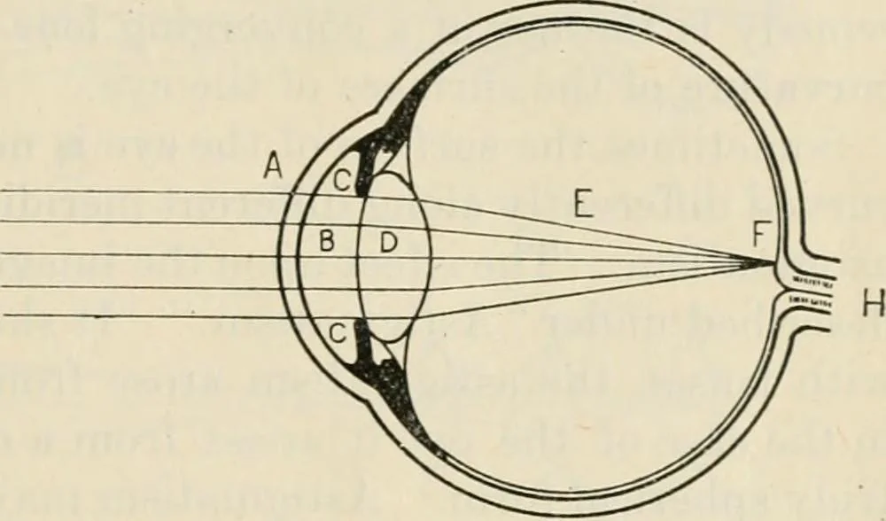 An illustration from Elementary optics and applications to fire control instruments, 1922, leaf 55