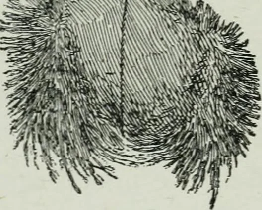 An illustration from Elementary physics for high schools, 1914, leaf 195