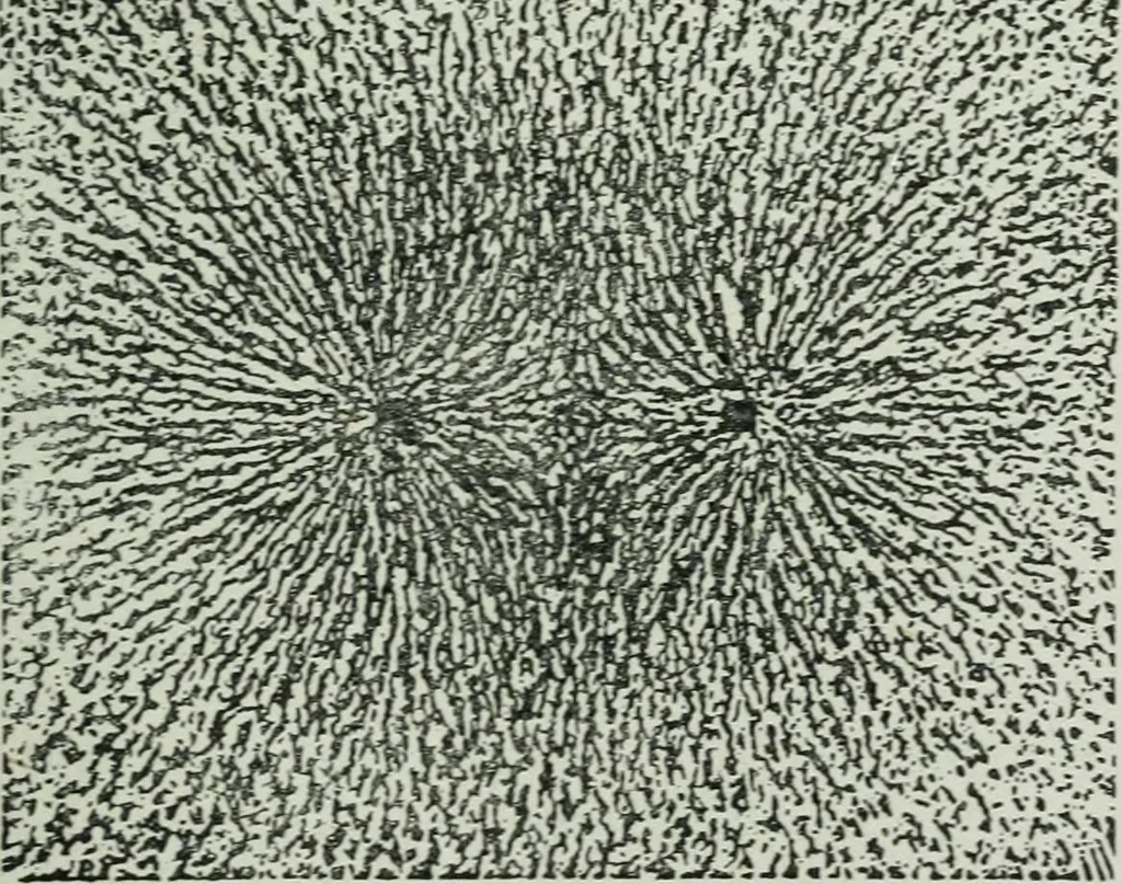 An illustration from Elementary physics for high schools, 1914, leaf 199