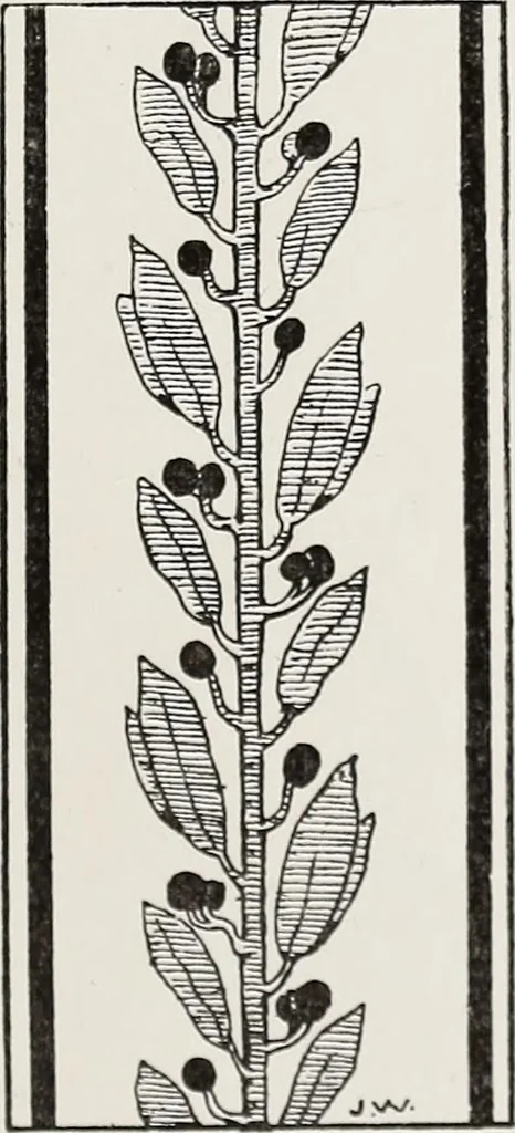 An illustration from Elementary principles of ornament, 1890, leaf 74