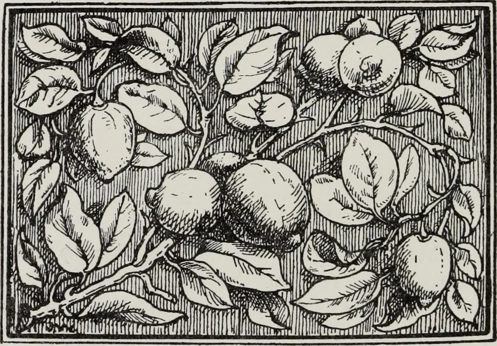 An illustration from Elementary principles of ornament, 1890, leaf 77