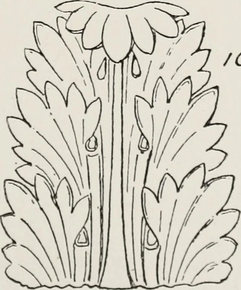 An illustration from Elementary principles of ornament, 1890, leaf 80