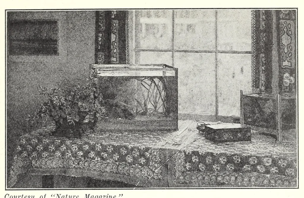 An illustration from Elementary Science by Grades Book Two: A Nature Study and Science Reader, 1928, leaf 187
