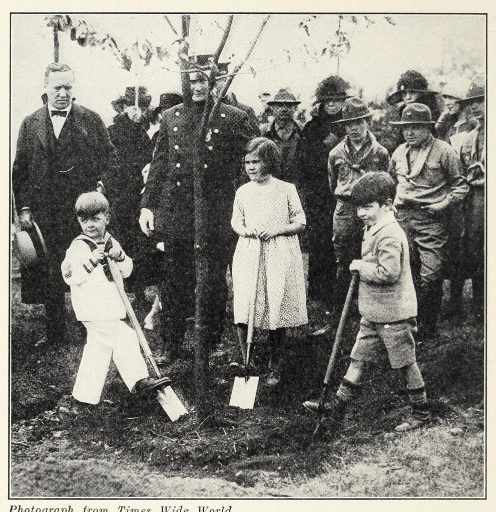 An illustration from Elementary Science by Grades Book Two: A Nature Study and Science Reader, 1928, leaf 228