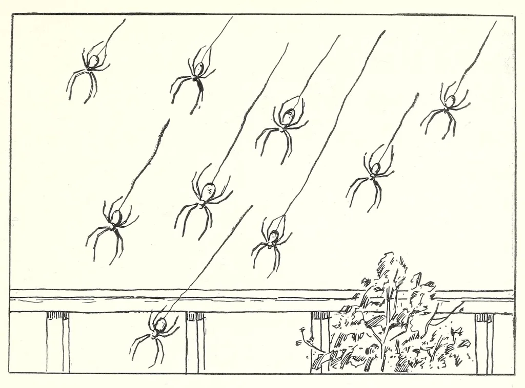 An illustration from Elementary Science by Grades Book Two: A Nature Study and Science Reader, 1928, leaf 37
