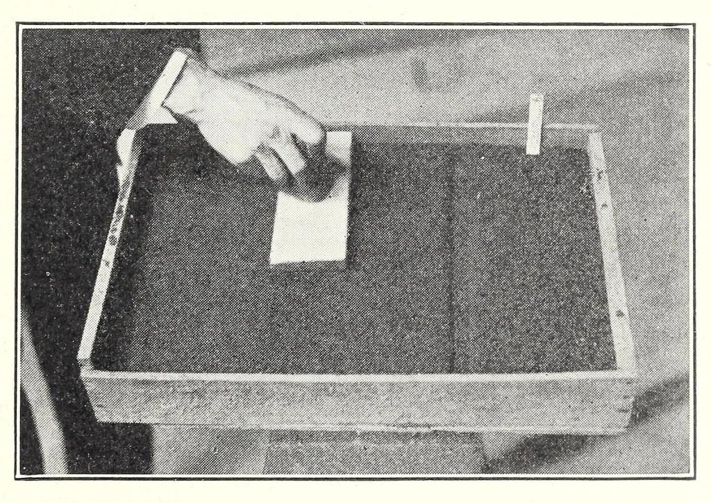 An illustration from Elementary Science by Grades Book Four: A Nature Study and Science Reader, 1929, leaf 239