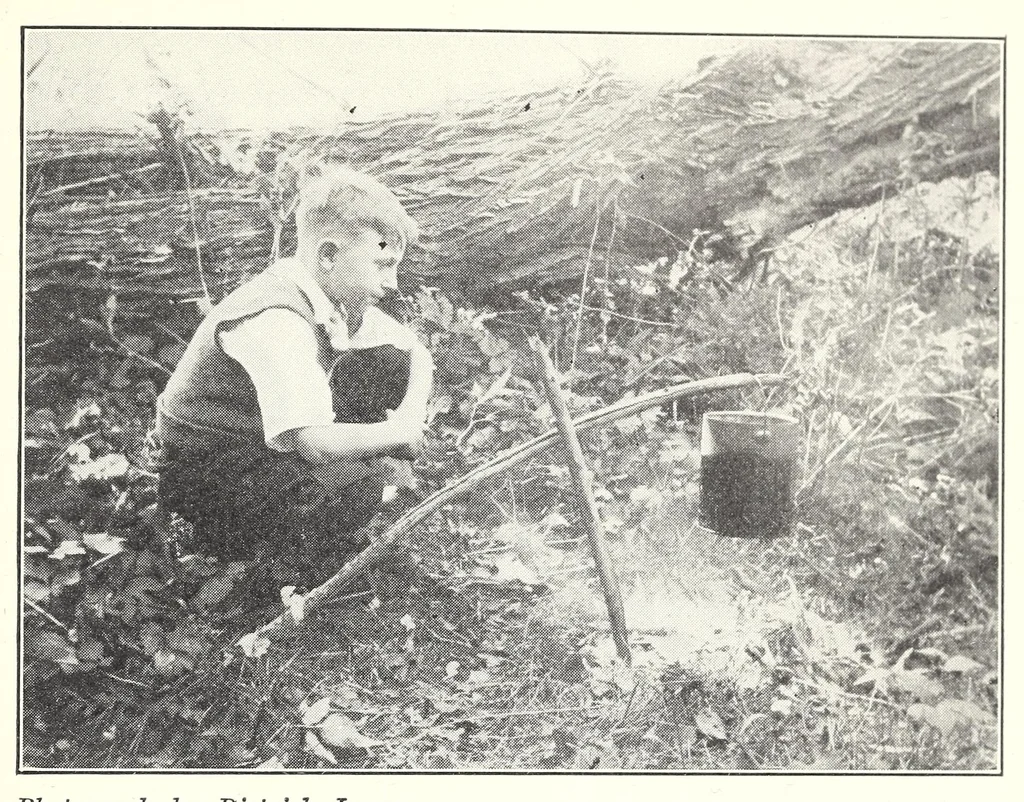 An illustration from Elementary Science by Grades Book Four: A Nature Study and Science Reader, 1929, leaf 289