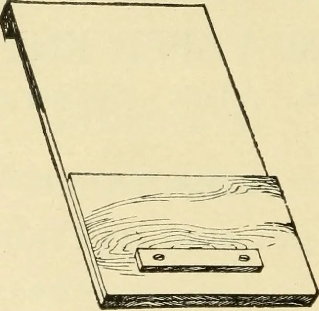 An illustration from Elementary sloyd and whittling, 1906, leaf 101