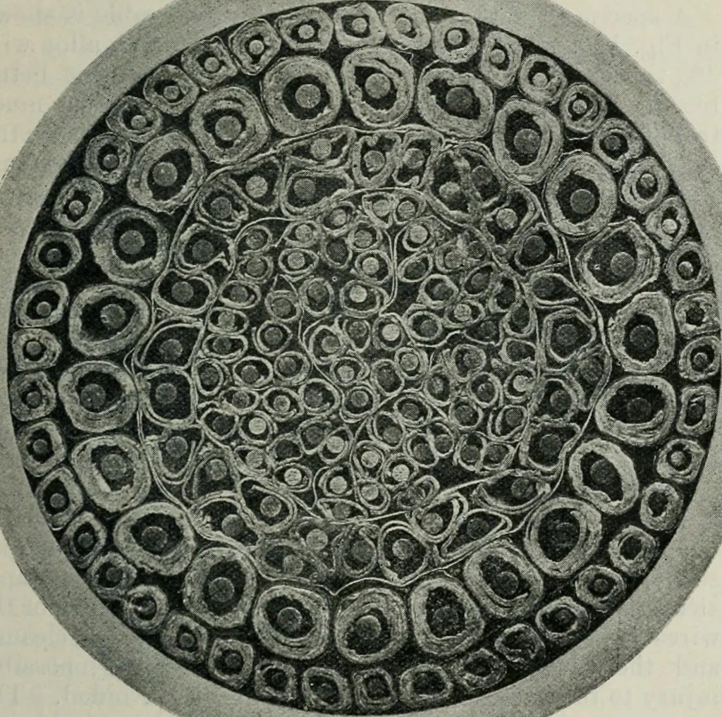An illustration from Elementary telegraphy : a manual for students; written specially to meet the requirements of the ordinary grade of the subject as published in the syllabus of the city and guilds of London Institute, 1910, leaf 152